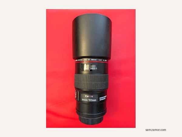 Canon EF 100mm f/2.8L Macro IS USM